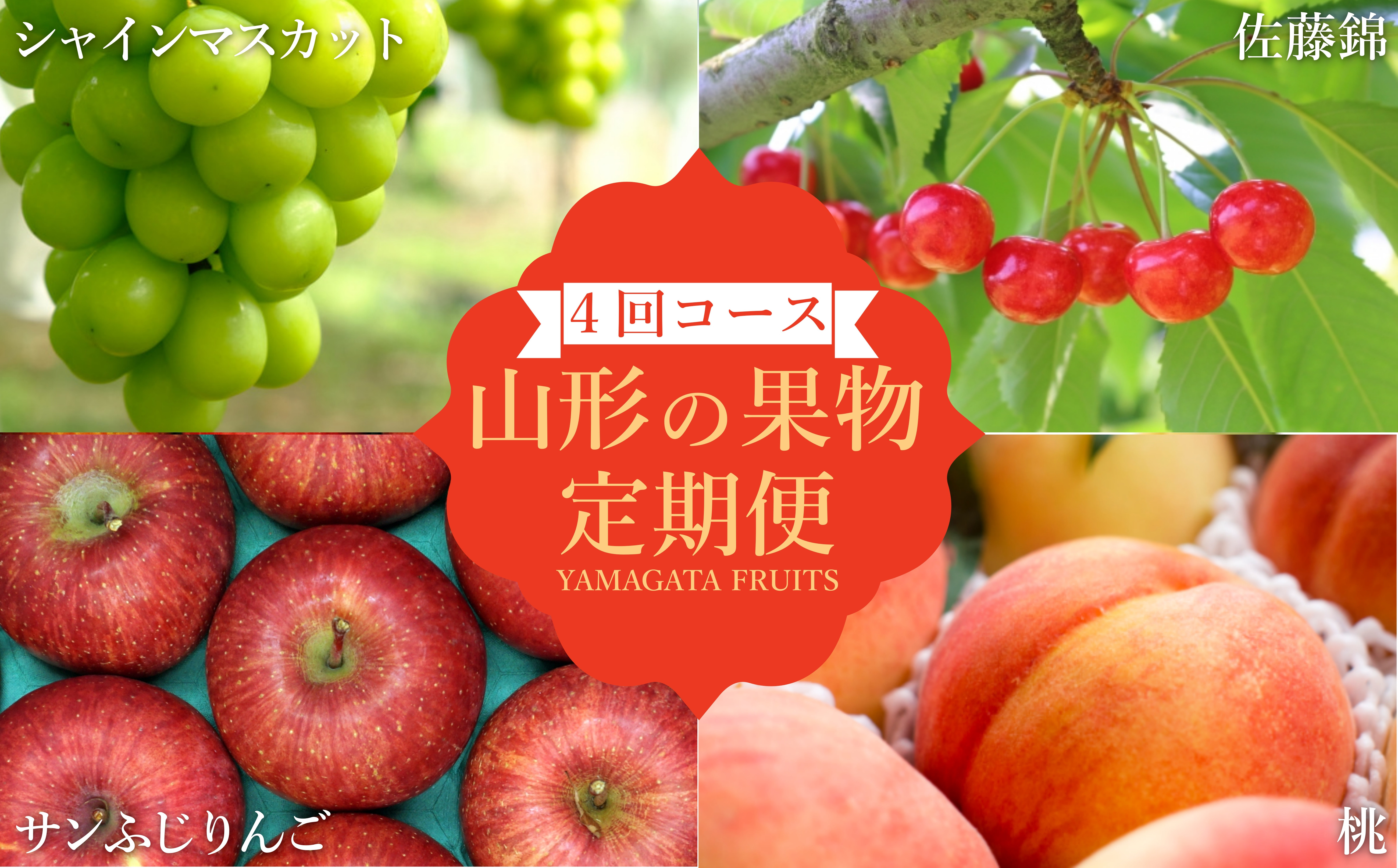 
            【2026年発送】【定期便4回】山形旬の果物4選（佐藤錦/桃/シャインマスカット/りんご）_H240(R8)
          