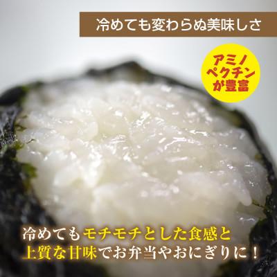 ふるさと納税 十日町市 魚沼産 川西 こしひかり 20kg 精米 新潟県産お米 産地直送 十日町 |  | 03