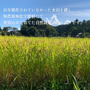 令和7年産 富山県産 自然栽培米 コシヒカリ５kg（５分づき）
