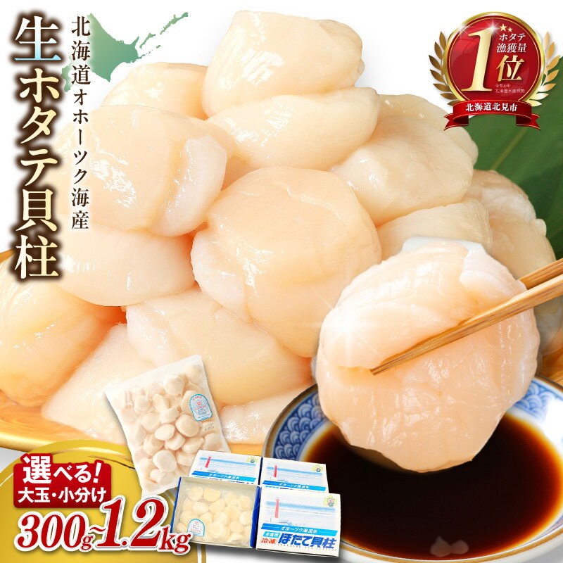 北海道オホーツク海産ホタテ貝柱 1.2kg 生食用