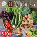 【ふるさと納税】【5・10品目から選べる】特別栽培 たかしま農園 採れたて 旬の野菜セット | 野菜 やさい 生野菜 おまかせ 詰め合わせ 無農薬 新鮮 季節 旬 食材 地元産 有機野菜 有機農業 農家 食育 健康 お取り寄せ 埼玉県 久喜市