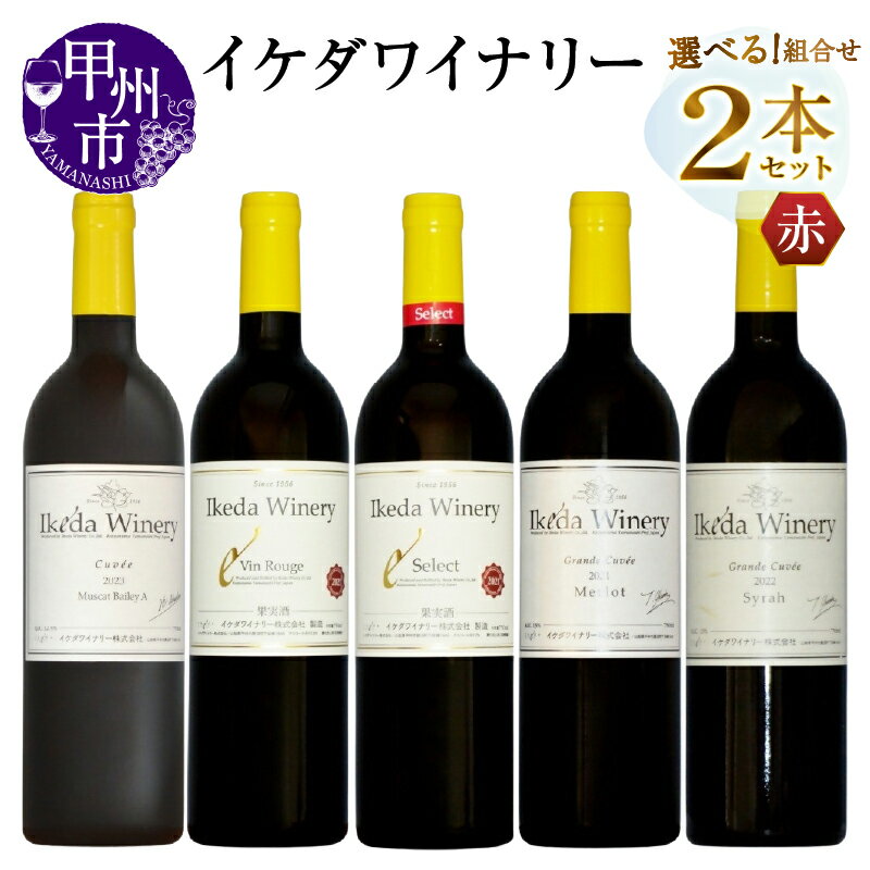 【ふるさと納税】 ワイン 赤 選べる お届け内容 組合せ 2本 セット 750ml イケダワイナリー 赤ワイン フルボディ ミディアム マスカットベリーA グラン・キュヴェ シラー メルロー ヴァン・ルージュ セレクト赤 母の日 父の日 記念日 ギフト 贈答 山梨県 甲州市 （MG）