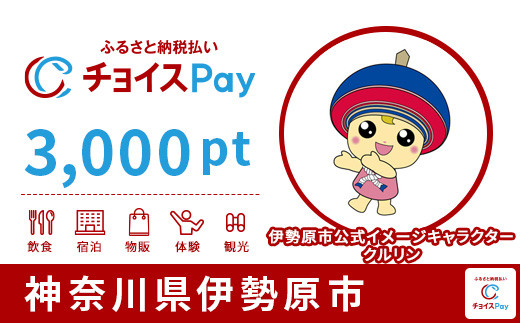 
伊勢原市チョイスPay 3,000pt（1pt＝1円）【会員限定のお礼の品】
