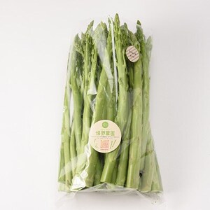 【令和8年産】先行受付!春芽アスパラガス約1kg(L～2Lサイズ 25～45本前後)_野菜 アスパラガス  _【配送不可地域：離島・北海道・沖縄県・信越、北陸・東海・近畿・中国・四国・九州】【1470