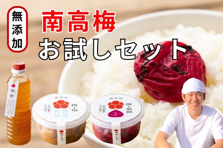 【お試し・無添加梅干し】梅干し（天日塩漬け、紫蘇漬け 各280g×1パック）、白梅酢1本セット ／ 南高梅　A-403