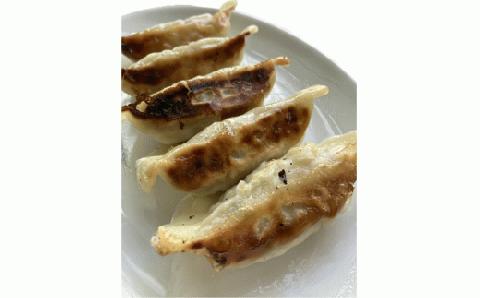 冷凍もちぶた餃子 30個入 × 2袋 【 冷凍 餃子 30個 2袋 60個 もちぶた 簡単 さとうファーム 焼くだけ I70 】