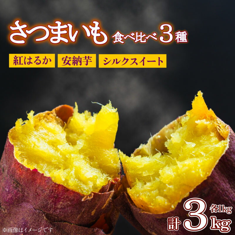 【ふるさと納税】【先行予約】2026年度産 京都府産 さつまいも 3種 食べ比べ セット 3kg 紅はるか 安納芋 シルクスイート ( 発送時期 2026年10月下旬～11月下旬 ) サツマイモ 旬 さつま芋 期間限定 季節 秋 京都 京都府 芋 いも イモ 京丹後 京丹後産 京丹後市 先行受付