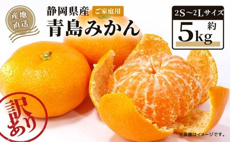 【2026年1月上旬～順次発送】 訳あり 青島 みかん 5kg みかん