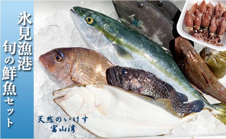 
            天然のいけす 富山湾 氷見漁港 旬の鮮魚セット 〈配送地域限定〉
          