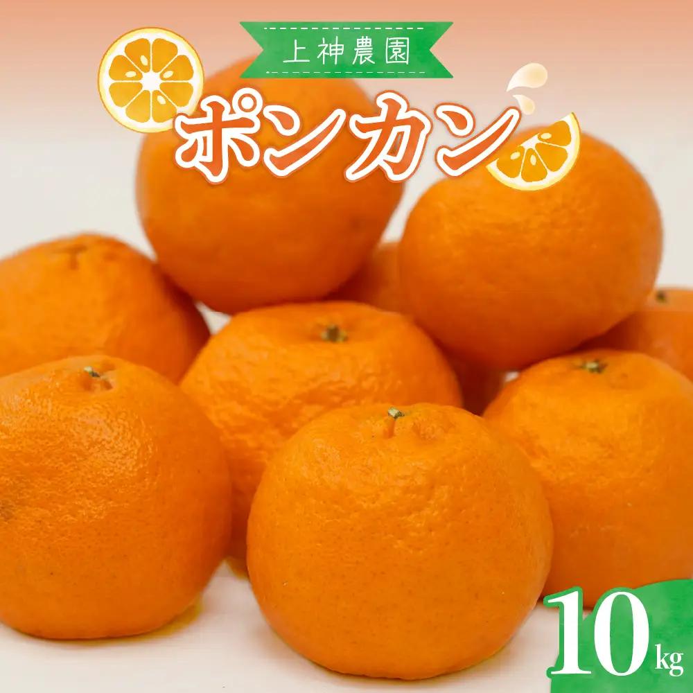 【先行受付】【2027年1月中旬～発送】上神農園のポンカン 約10kg 