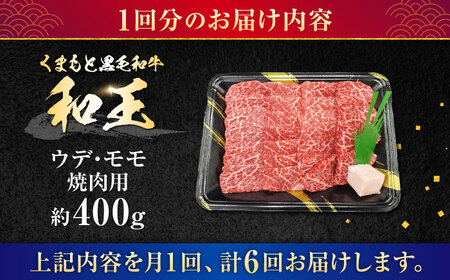 【全6回定期便】熊本県産 A5等級 黒毛和牛 和王 ウデ・モモ 焼肉用 約400g 計約2.4kg【帝神志方ミート 株式会社】[AYCH026]