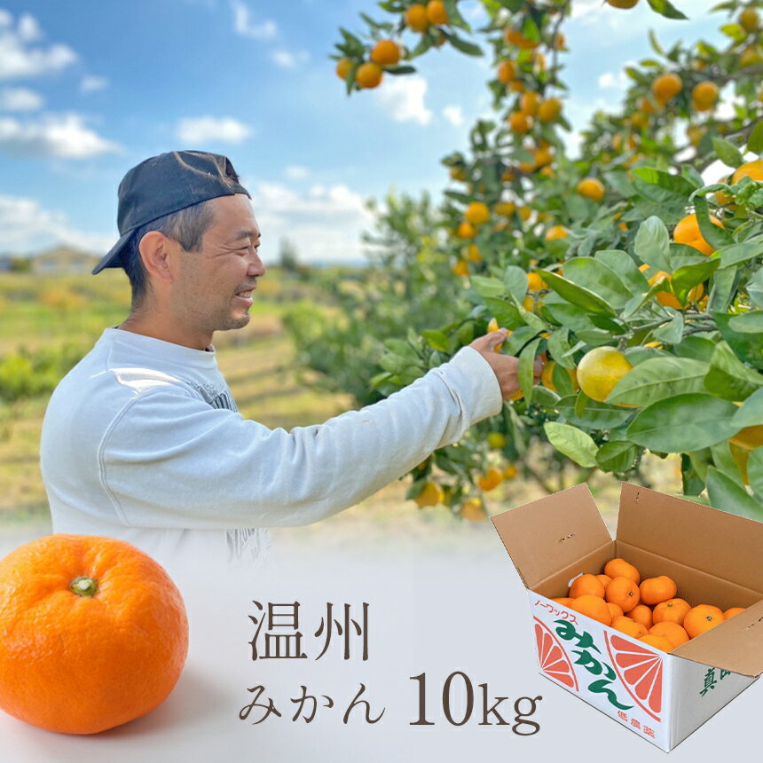 【ふるさと納税】温州みかん 10kg 大阿太高原で育った大人の みかん | 果物 くだもの フルーツ みかん ミカン 産直直送 箱 買い 家庭用 農家直送 数量 限定 12月 1月 発送 奈良県 大淀町