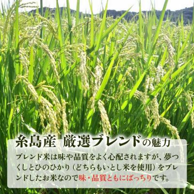 ふるさと納税 糸島市 いとし米 厳選ブレンド 5kg(糸島産) 糸島市/三島商店 [AIM020] |  | 03