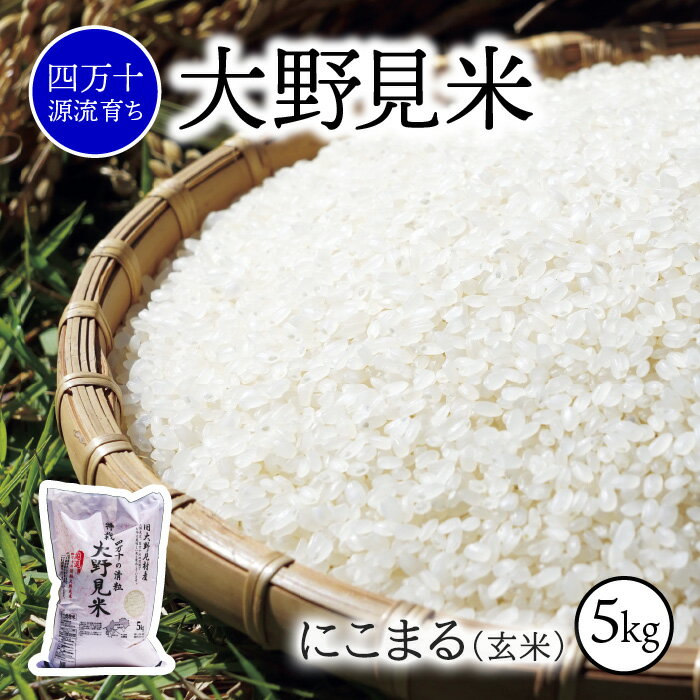 【ふるさと納税】 米 5kg にこまる 玄米 新米 お米 特別栽培 大野見米 ご飯 5キロ 四万十 高知