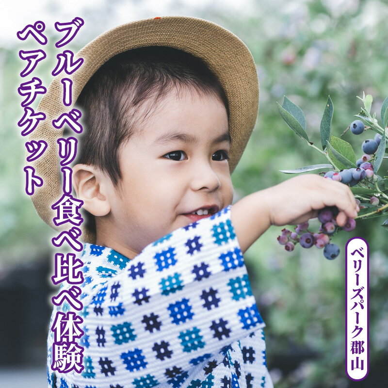 【ふるさと納税】ブルーベリー食べ比べ体験ペアチケット(大人)　郡山市