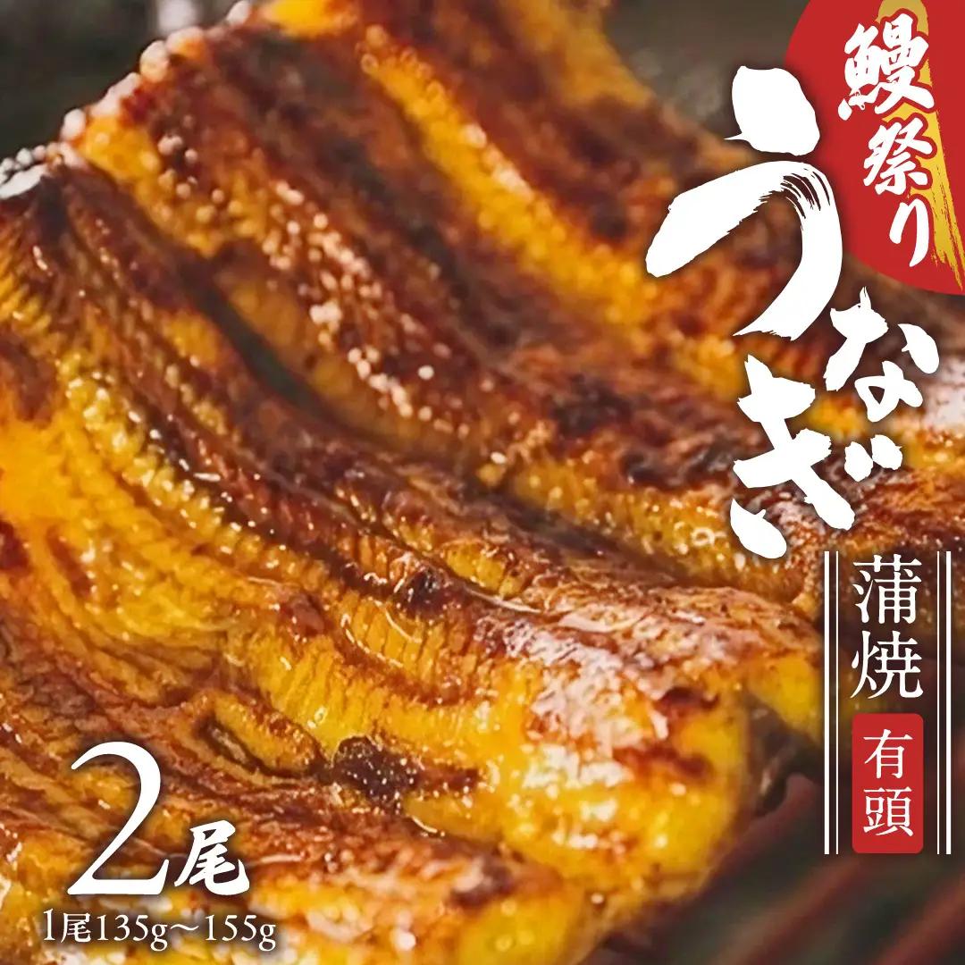 【牛久うなぎ祭り開催！期間限定の特別受付スタート】 鹿児島県産 有頭 鰻 蒲焼 × 2尾 （ 1尾 135g ～ 155g 以上）