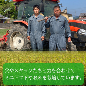 令和5年産！愛媛県産ヒノヒカリ 10kg | 米 ｺﾒ 米 ｺﾒ 米 ｺﾒ 米 ｺﾒ 米 ｺﾒ 米 ｺﾒ 米 ｺﾒ 米 ｺﾒ 米 ｺﾒ 米 ｺﾒ 米 ｺﾒ 米 ｺﾒ 米 ｺﾒ 米 ｺﾒ 米 ｺﾒ 米 