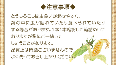 ＜令和6年産＞ 【 先行予約 ・ 7月中旬以降発送】 【数量限定】 八千代町産 農家直送 朝採りとうもろこし おおもの 6kgトウモロコシ スイートコーン 産地直送 [AX027ya]