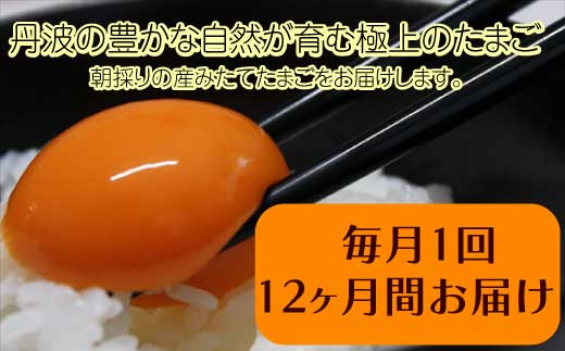 
【12ヶ月定期便】「村上さん家のせせらぎ卵」　45個＋5個破卵補償　(計50個）
