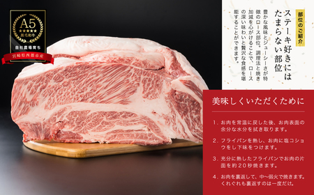 カミチクファーム　黒毛和牛ロースステーキ2枚＜1.5-26＞