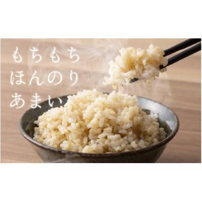 ふるさと納税 滑川市 【毎月定期便】ほたるいか米　玄米　5kg全6回 |  | 02