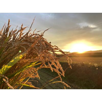 ふるさと納税 鷹栖町 令和7年産 真空パック ゆめぴりか・ななつぼし白米 各5kg　計10kg SA181 |  | 01