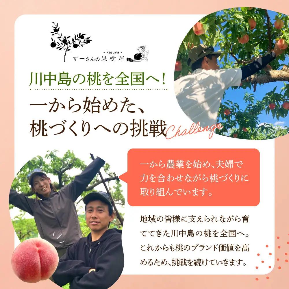 すーさんの果樹屋　【先行予約】川中島の桃 大玉3玉 品種おまかせ 8月中旬～8月下旬発送予定 |桃 フルーツ