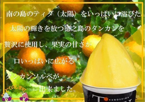 ～南の島からお届けします～太陽の輝きタンカンソルベ