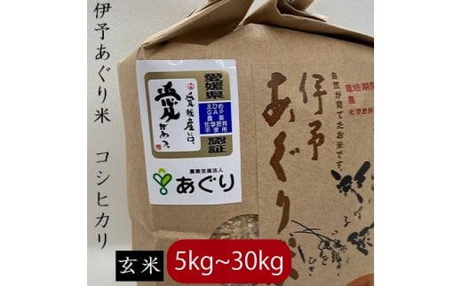 【選べるキロ数】米 玄米 5kg 伊予あぐり米「コシヒカリ」 令和7年産 米 農薬・化学肥料不使用 ｜米 玄米 令和7年産 米 お米 こめ 農薬・化学肥料不使用 こだわりのお米  愛媛県 松前町 松前 まさき 愛媛 えひめ おこめ 有限会社あぐり 愛媛県産米 松前町産米 美味しいお米 おにぎり   お米 贈答 贈り物 愛媛県 松前町 有限会社あぐり　