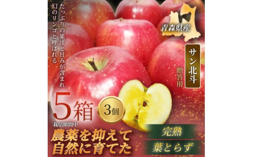 ＜青森直送 季節の味覚をお届け!＞サン北斗(幻のサン北斗)3個入×5箱(贈答用)青森産 産地直送【1700973】