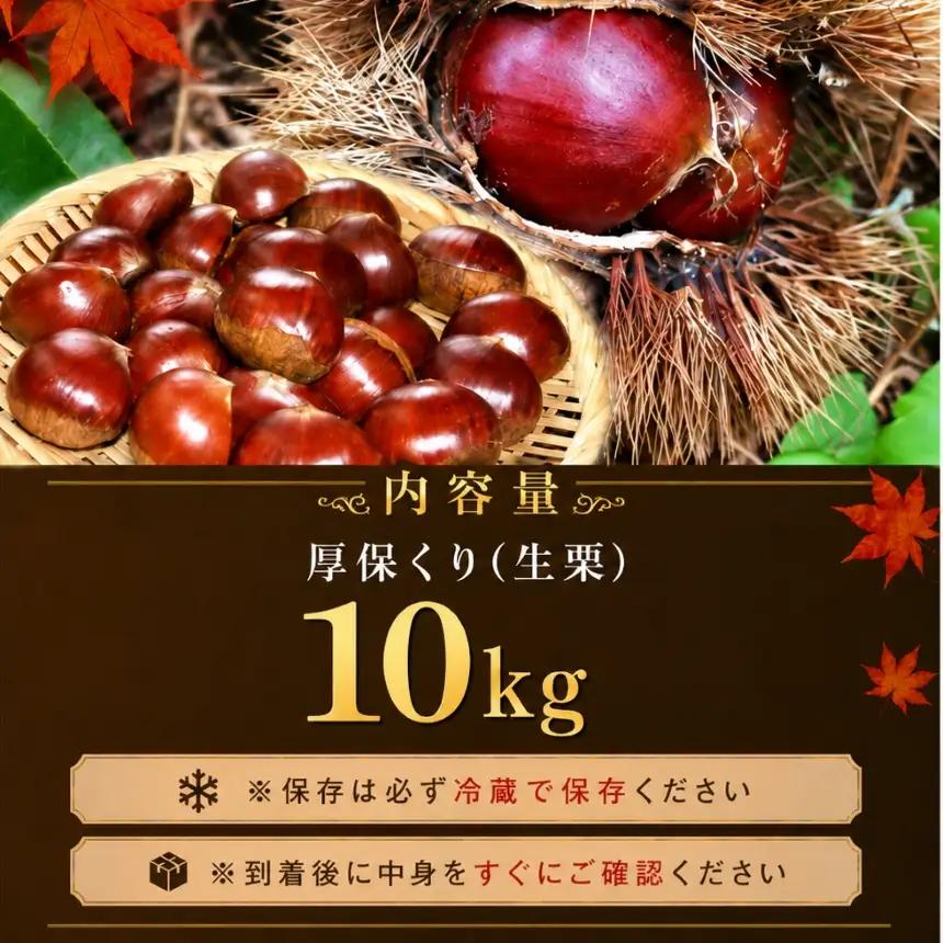 【先行予約】甘くて デカい ! 厚保くり ( 生栗 ) 10kg 山口美祢産 先行予約 ＜ 2026年10月上旬 ～ 11月中旬 発送予定＞ 