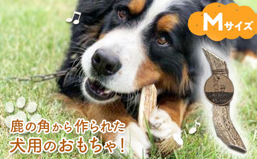 鹿の角から作られた犬用のおもちゃ！