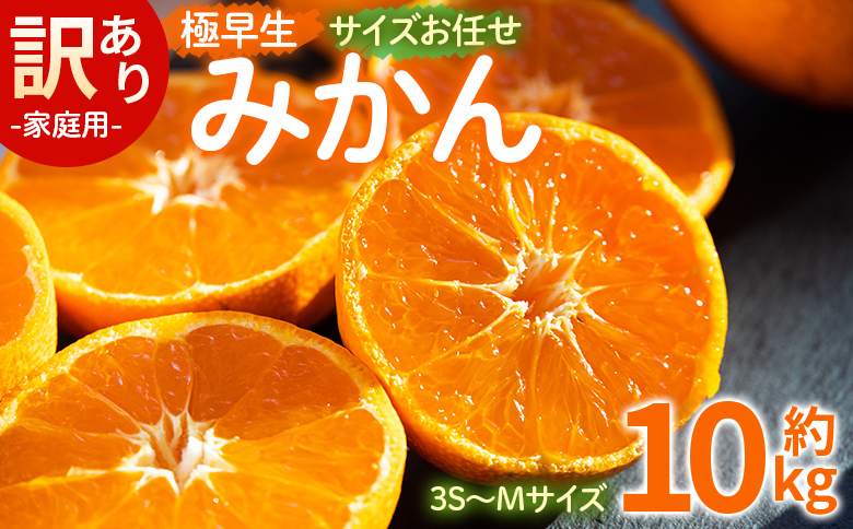 みかん 【2026年10月より順次配送】訳あり(家庭用) サイズお任せ 極早生みかん 10㎏ 3S～Mサイズ be-0121