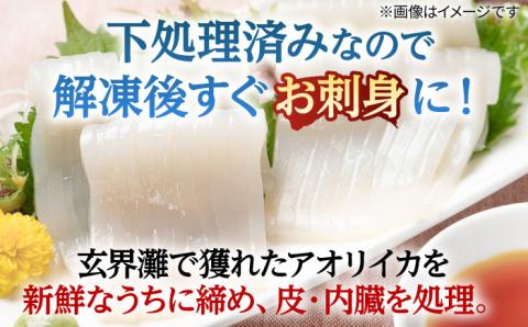 アオリイカ（水イカ）700g前後 《壱岐市》【ヤマグチ】[JCG018] いか あおりいか 13000 13000円