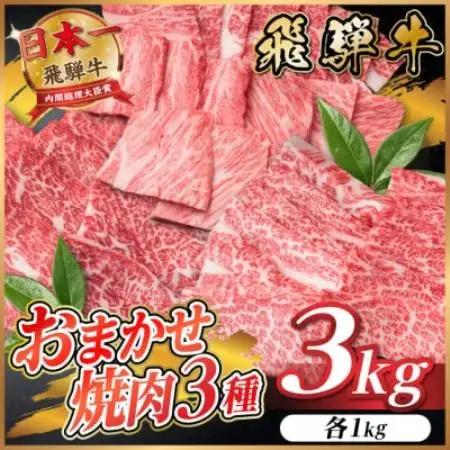 飛騨牛　おまかせ焼肉3種セット約3kg(各約1kg)訳あり　BBQ　上カルビ・ロースなど【配送不可地域：離島】【1739048】