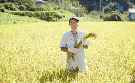 ブランド米「たかたのゆめ」と煎餅のギフトセット 【 米 お米 白米 お煎餅 せんべい お菓子 菓子 和菓子 おやつ 人気 おすすめ ギフト プレゼント 贈答品 常温 岩手 陸前高田 】