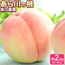 【ふるさと納税】あら川の桃 秀品 約2kg(5~8玉) 坂口農園《2025年6月下旬-8月下旬頃より出荷予定》 和歌山県 紀の川市 桃 もも モモ 白鳳 日川白鳳 紀の里白鳳 清水白桃 川中島白桃 なつっこ 月あかり 黄金桃 あら川の桃 送料無料