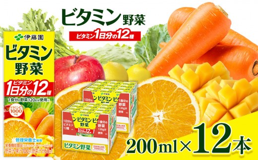 ビタミン野菜 紙パック ( 200ml × 12本 ) 伊藤園   | 野菜 フルーツ ジュース ドリンク 飲料 健康 食品 砂糖 食塩 不使用 長期常温可能 長野県 松本市 ふるさと納税