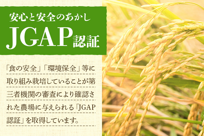 【白米】令和7年産 秋田県産 あきたこまち 10kg(2kg×5袋) 【JGAP認証】【秋田県特別栽培農産物認証】