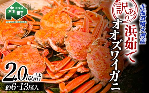 【3月発送】【訳あり】浜茹でオオズワイガニ 2.0kg 詰め込みセット 北海道噴火湾産 ＜道産ネットミツハシ＞ かに カニ 蟹 がに 北海道 森町 ふるさと納税 mr1-0736-1