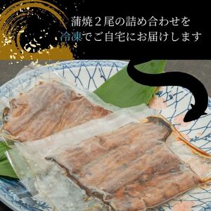 うなぎ 三河産 蒲焼 2尾 活魚 200g×2 国産 鰻 うなぎ