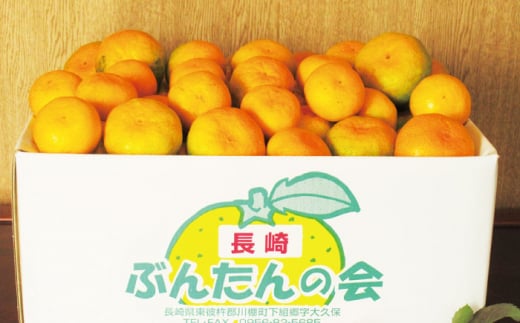 【数量限定】温州高糖度 原口みかん 約5kg【長崎ぶんたんの会】[OAF004] / ミカン 柑橘 果物 フルーツ みかん 原口みかん 人気みかん 高糖度みかん ミカン 柑橘類 長崎県産柑橘 産地直送