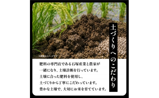 ＜毎月定期便＞コシヒカリ 精米 10kg | こしひかり 茨城県かすみがうら市全6回【4094325】