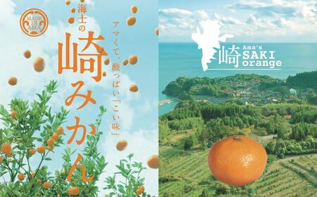【期間限定】崎地区の崎みかん Mサイズ 5kg 約50個 期間限定 11月下旬より発送開始