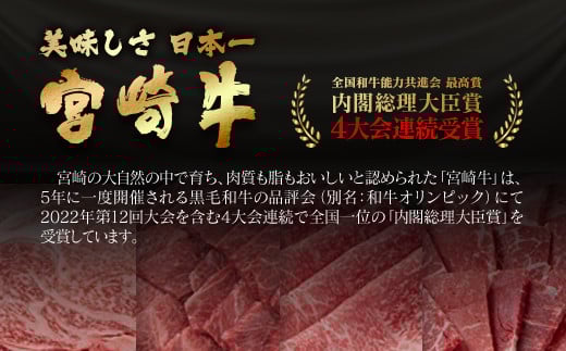 宮崎牛100％使用 贅沢手ごねハンバーグ2種　140ｇ×4個＜2.1-8＞
