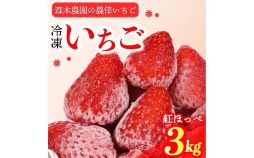 冷凍 いちご 苺 3kg 完熟 紅ほっぺ ヘタ取り いちご 静岡 限定 苺 冷凍いちご 果物 スイーツ いちご 紅ほっぺ 牧之原市 デザート フルーツ スイーツ アイス ジャム シャーベット ベリー 氷菓 冷凍 甘い オススメ ギフト 人気 紅ほっぺ 牧之原市 森木農園