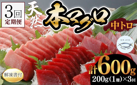 【定期便/計3回】天然本マグロ 中トロ200g（1柵）【まぐろ】eb021