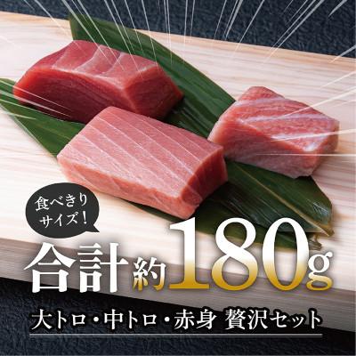 ふるさと納税 越前市 国産の本マグロ　大トロ・中トロ・赤身合計約180g(約50g/約70g/約70g) |  | 01