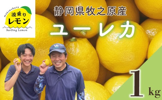 【国産】牧之原産 波乗りレモン ユーレカ 1kg  国産 Lemon 檸檬  柑橘類 柑橘 フルーツ  柑橘類 柑橘 フルーツ 果物 酸っぱい 果肉 酸味 防腐剤不使用 自宅用 贈答品 レモンスカッシュ レモンパウンドケーキ レモンサワー くだもの 家庭用 静岡県産 農家直送 産地直送 産直 ビタミン ビタミンC クエン酸 グリーンレモン イエローレモン おすすめ 美味しい  静岡県 牧之原市