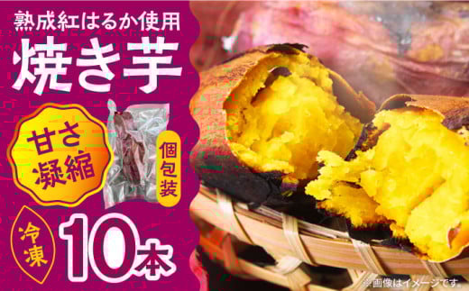 焼き芋【数量限定】【ねっとり甘い熟成サツマイモ】冷凍焼き芋（紅はるか） 10本(S～M) / さつまいも やき芋 冷凍 小分け 個包装 冷やし焼き芋 焼き芋 やきいも 焼芋 やきいも ヤキイモ ヤキイモ スイーツ おやつ さつまいも 紅はるか デザート お菓子 和菓子 小分け 国産 糖度 サツマイモ 甘い あまい 芋 yakiimo imo / 南島原市 / 池田海陸物産 [SEW002]